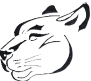 cysepanther.com